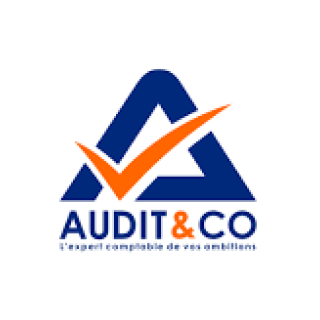 Audit And Co Logo